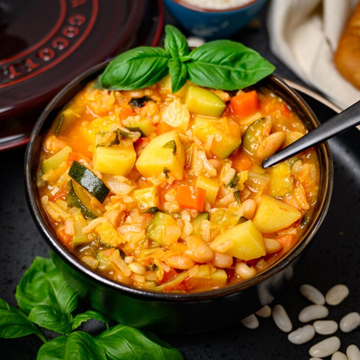 MÓN MINESTRONE 2